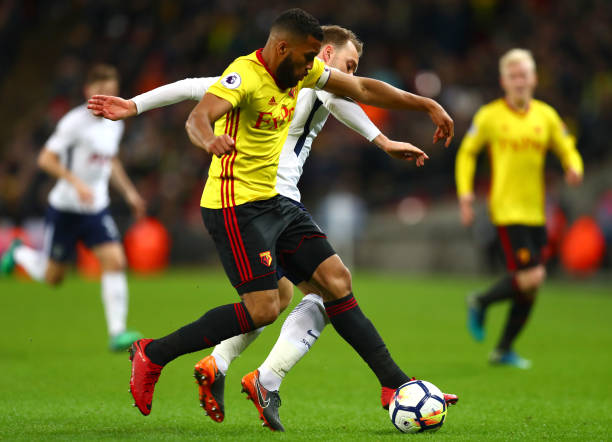 尤其是哈維 尤其是哈維